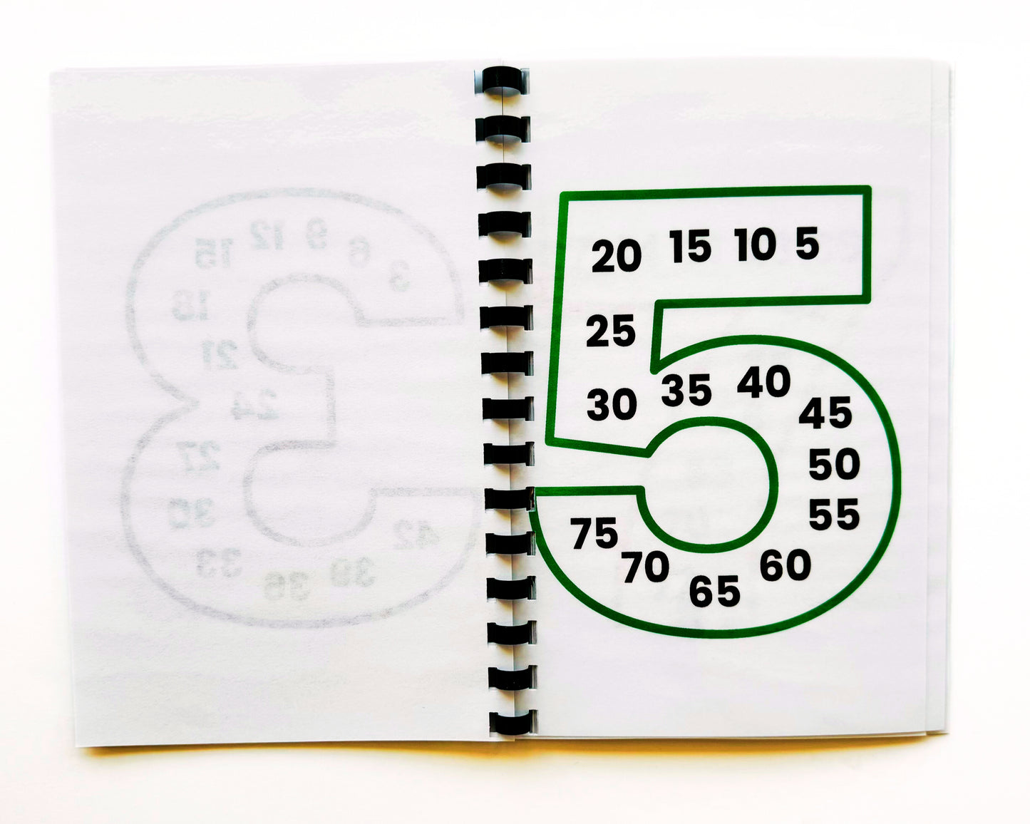 Skip Counting Math Games Activity Book!