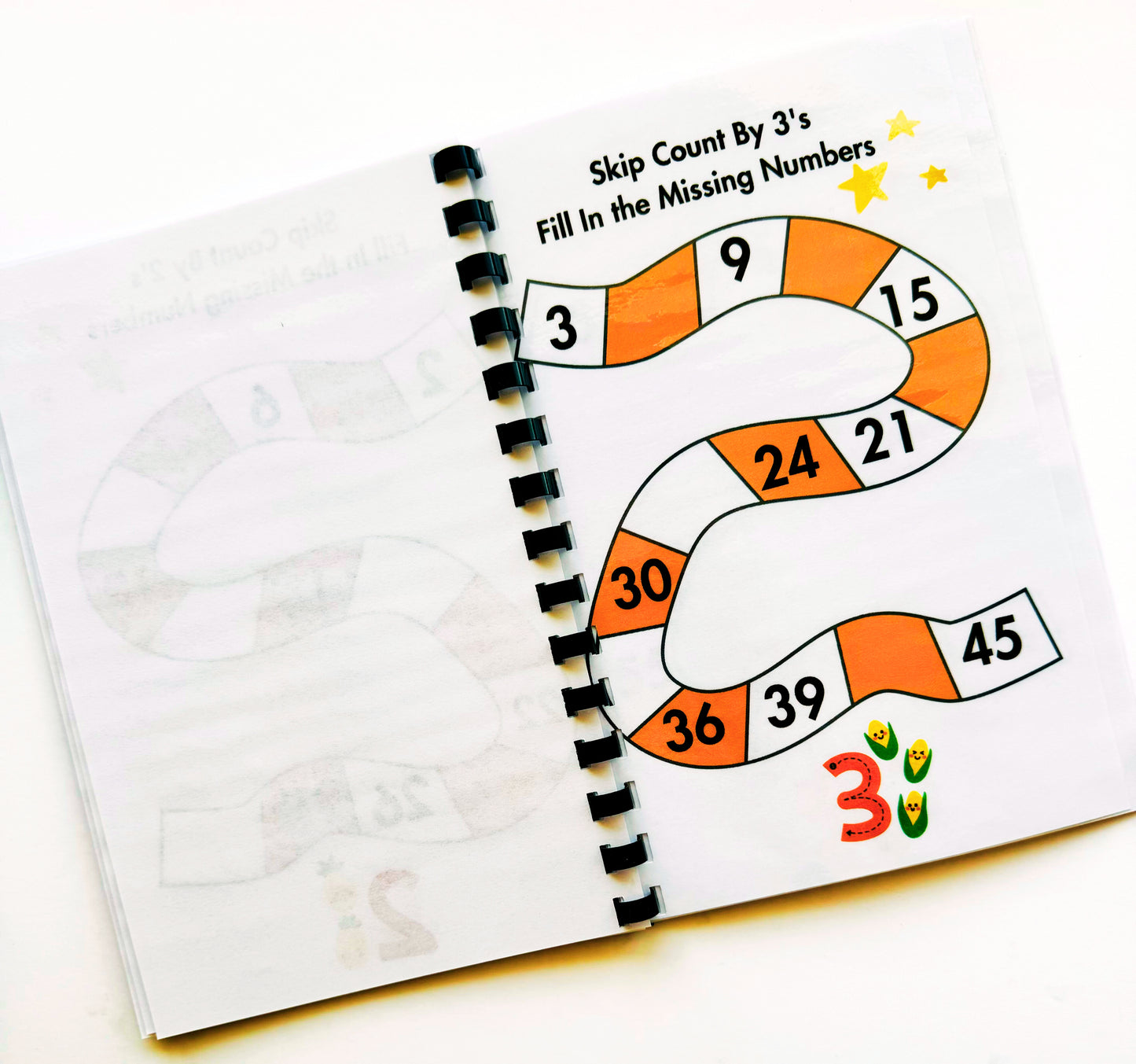 Skip Counting Math Games Activity Book!